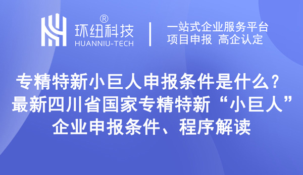國(guó)家級(jí)專(zhuān)精特新小巨人企業(yè)申報(bào)